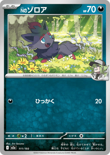 N's Zorua